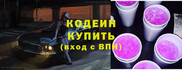 гашик Бородино