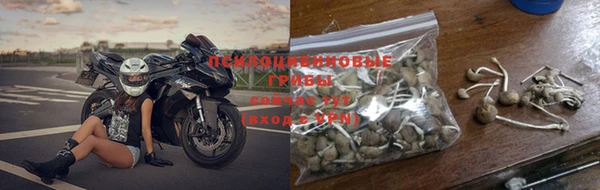 гашик Бородино
