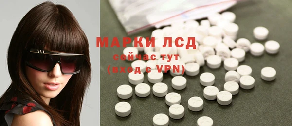 гашик Бородино