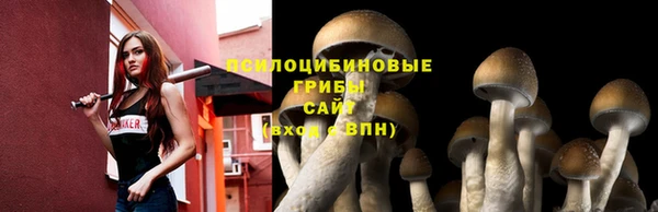экстази Бронницы