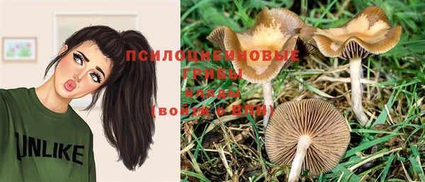 гашик Бородино