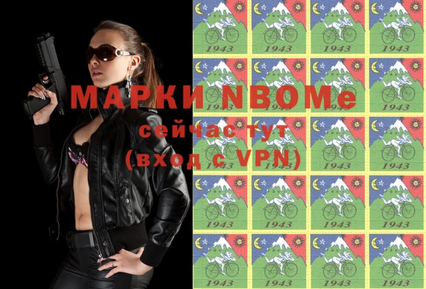 гашик Бородино