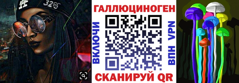 где найти   Сосногорск  Псилоцибиновые грибы Cubensis 